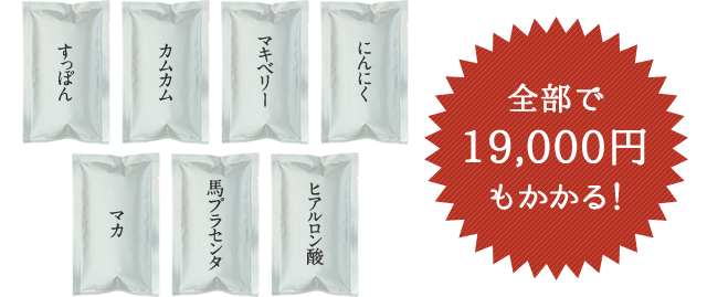 全部で19,000円もかかる