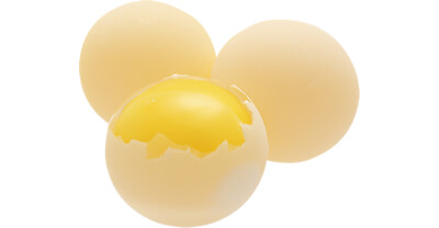 すっぽんの卵