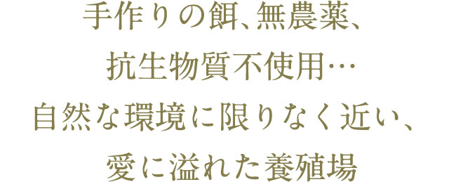 自然な環境に限りなく近い、愛に溢れた養殖場