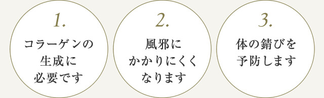 ビタミンCはココが嬉しい！