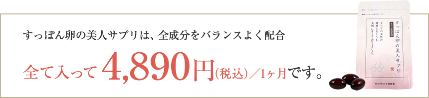 全て入って4,800円