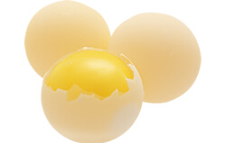 すっぽんの卵