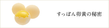 すっぽん卵黄の秘密