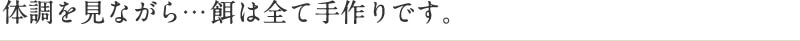 体調を見ながら…餌は全て手作りです。