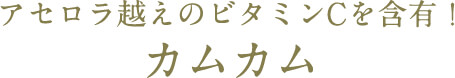 アセロラ越えのビタミンCを含有！カムカム