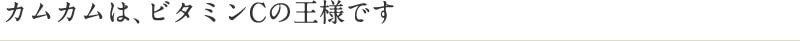 カムカムは、ビタミンCの王様です