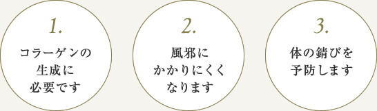 ビタミンCはココが嬉しい