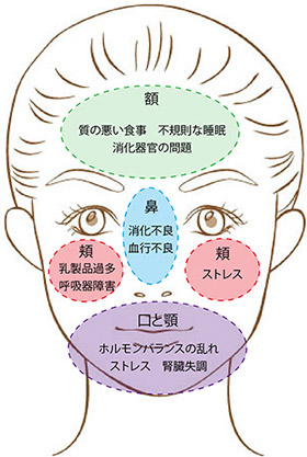 名刺おもて-アウトライン